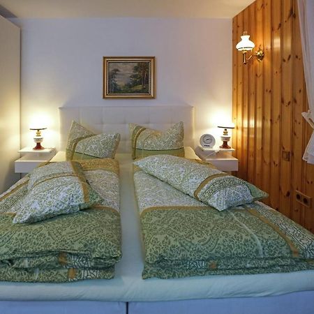 Domizil Aschbergblick Apartment Klingenthal Luaran gambar